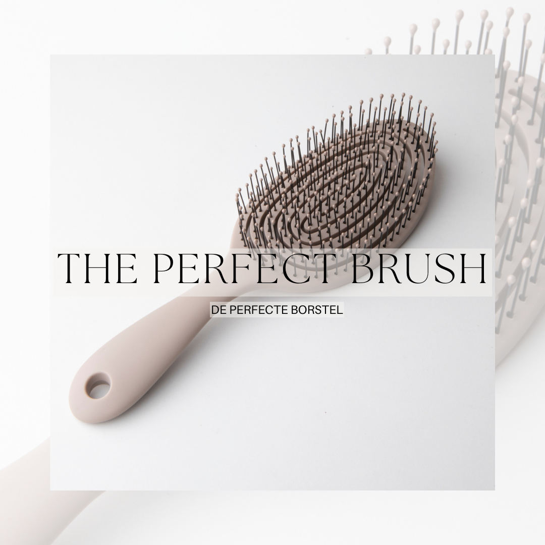 Brush off Your Dreams